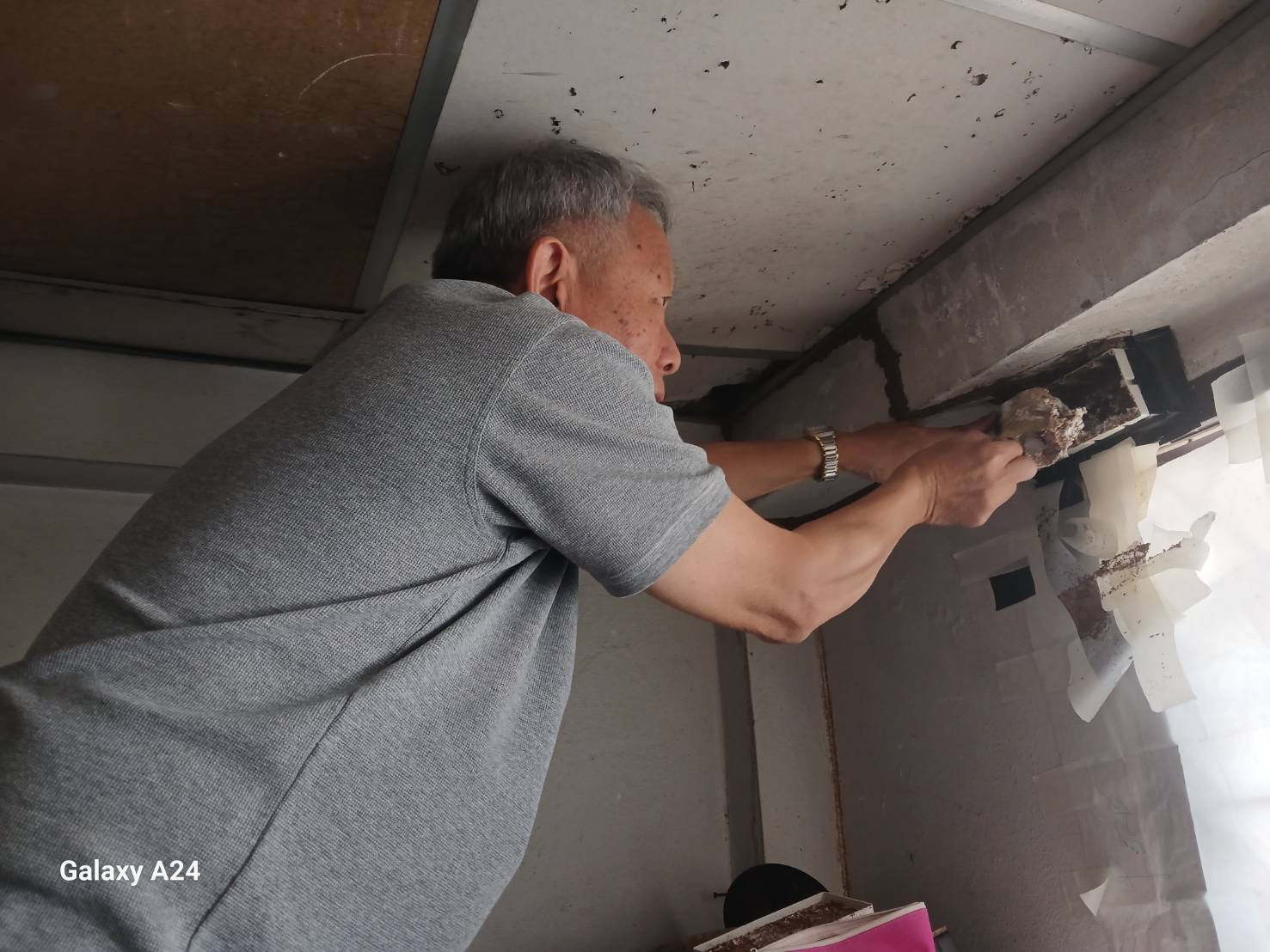 บริษัทรับกำจัดแมลง , กำจัดแมลงเชียงใหม่ , กำจัดปลวกเชียงใหม่